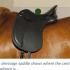 Saddle Fit and Getting Ready for Spring!